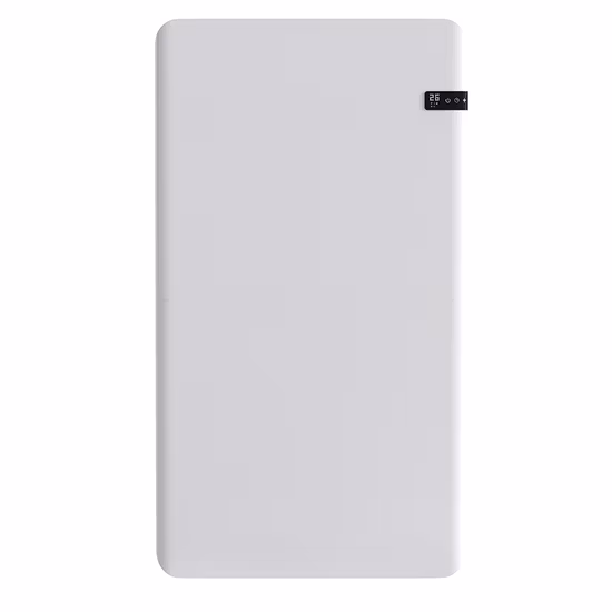 新しいスタイリッシュな壁掛けヒーター電熱素子電熱ヒーター
